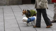 Una mujer pasea con dos perros por la calle Cardenal, en el centro de Monforte