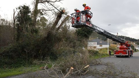 Un árbol cayó sobre el tendido eléctrico en Area, en el municipio de Viveiro