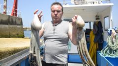 El pulpo de la ra de Pontevedra vuelve a las lonjas