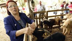 Concurrida Feira das Cabras de Merl�n