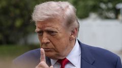 Trump atendi� el pasado viernes a los medios en el jard�n sur de la Casa Blanca.