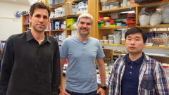César de la Fuente, Marcelo Torres y Fangping Wan, autores de la investigación.