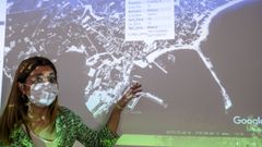 La edila Ana Barreiro present� la iniciativa