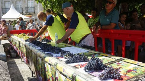 La Festa da Vendima de Leiro incluy un concurso de racimos