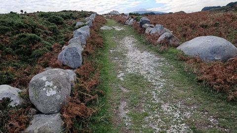 Camino gallego