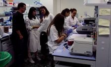 El equipo de Collado colaborar� con el CNIO en la explotaci�n terap�utica de la reprogramaci�n celular