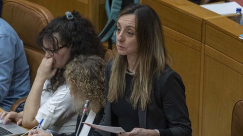 Paloma Castro, del PSdeG, en un pleno en el Parlamento de Galicia en febrero del 2025