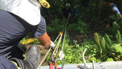 Los bomberos rescatan a un ciclista mediante poleas en Langreo 