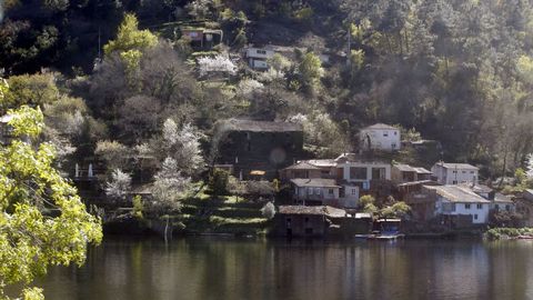 Aldea de Pincelo, na beira do r�o Mi�o.
