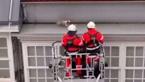 Los bomberos en el momento del rescate al perro en un tejado de la calle San Andrs