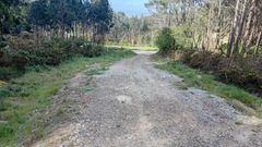 Imagen de un tramo del camino tomada en la ma�ana de este viernes por un resiente en Corme Aldea.