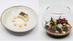 TAPAS GANADORAS DEL CONCURSO PONTEDETAPAS 20019