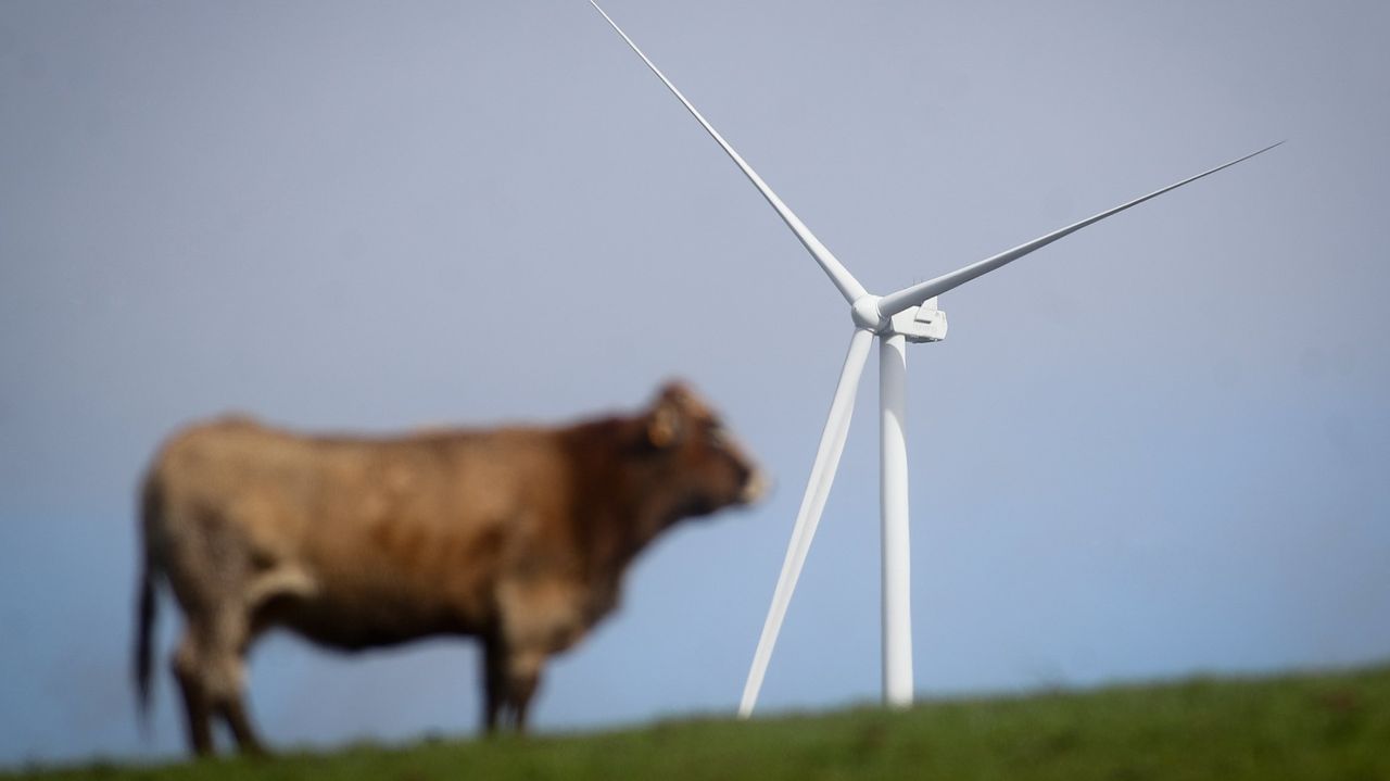 Guerra, energía y economía