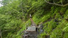 El bosque de A Rogueira, en O Courel, es una de las reas con ms biodiversidad del territorio que abarca la nueva reserva de la biosfera