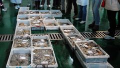 Subasta de pulpo recién capturado en la lonja de Muros (foto de archivo).