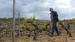 Rafael Palacios, entre los vi�edos que cultiva en O Bolo