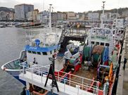 Barcos de arrastre, amarrados el pasado invierno en el puerto de Ribeira.