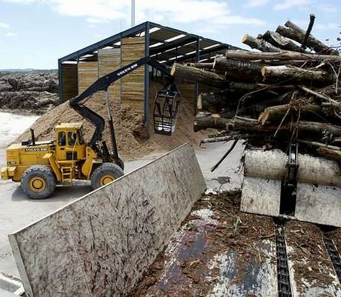 En As Pontes funciona desde hace m�s de un a�o la planta de Biomasa Forestal.