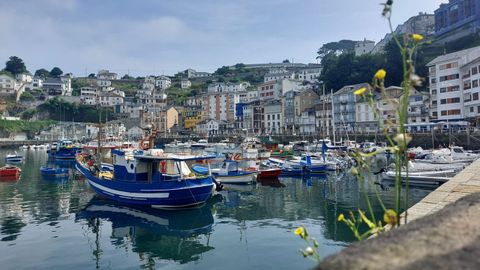 El puerto de Luarca