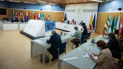 Momento de la reuni�n telem�tica entre ministerios y comunidades