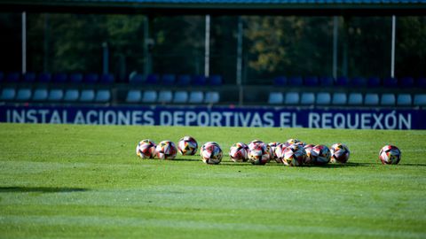 Balones en el campo n1 de El Requexn