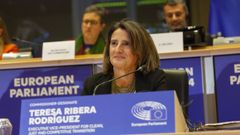 Teresa Ribera, durante su intervencin en el Parlamento Europeo en el proceso de audiencia para la confirmacin de su candidatura a la Comisin Europea.