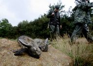 El cierre de campa�a pedido se refiere solo a cazar conejo.