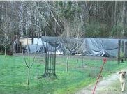 <span lang= es-es >Vivienda unifamiliar en Sada</span>. Las im�genes muestran el antes y el despu�s del derribo de esta edificaci�n levantada en suelo r�stico no urbanizable.