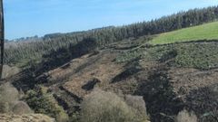 Terreno perteneciente al monte comunal de Vilaxuste.