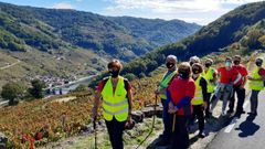 Participantes en el recorrido, que discurri� por el tramo de Chantada