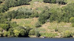 Vias al pie del embalse de Os Peares en la ribera del Mio en O Saviao