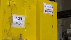 Tala de �rboles durante las obras de Emilio Tuya