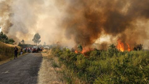 Incendio forestal en Meln, entre las aldeas de Quins y Vilaverde