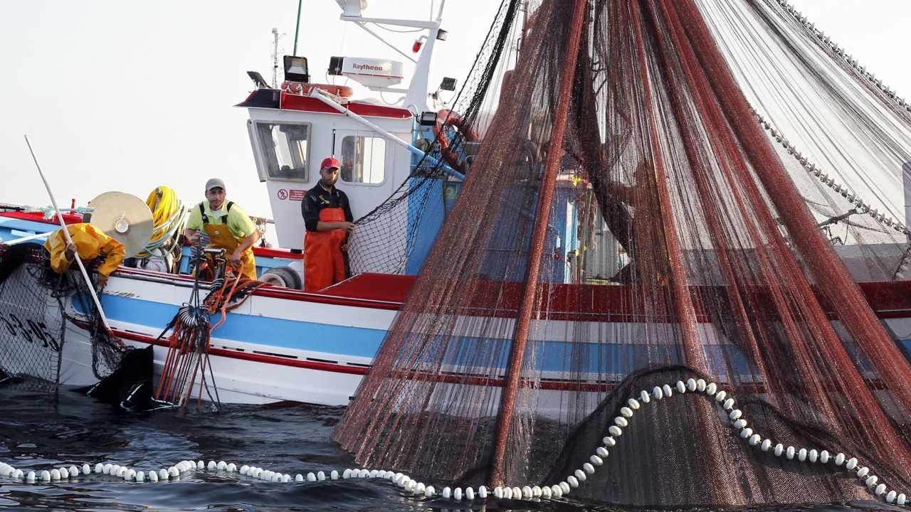 El xeito también quiere cupo de anchoa