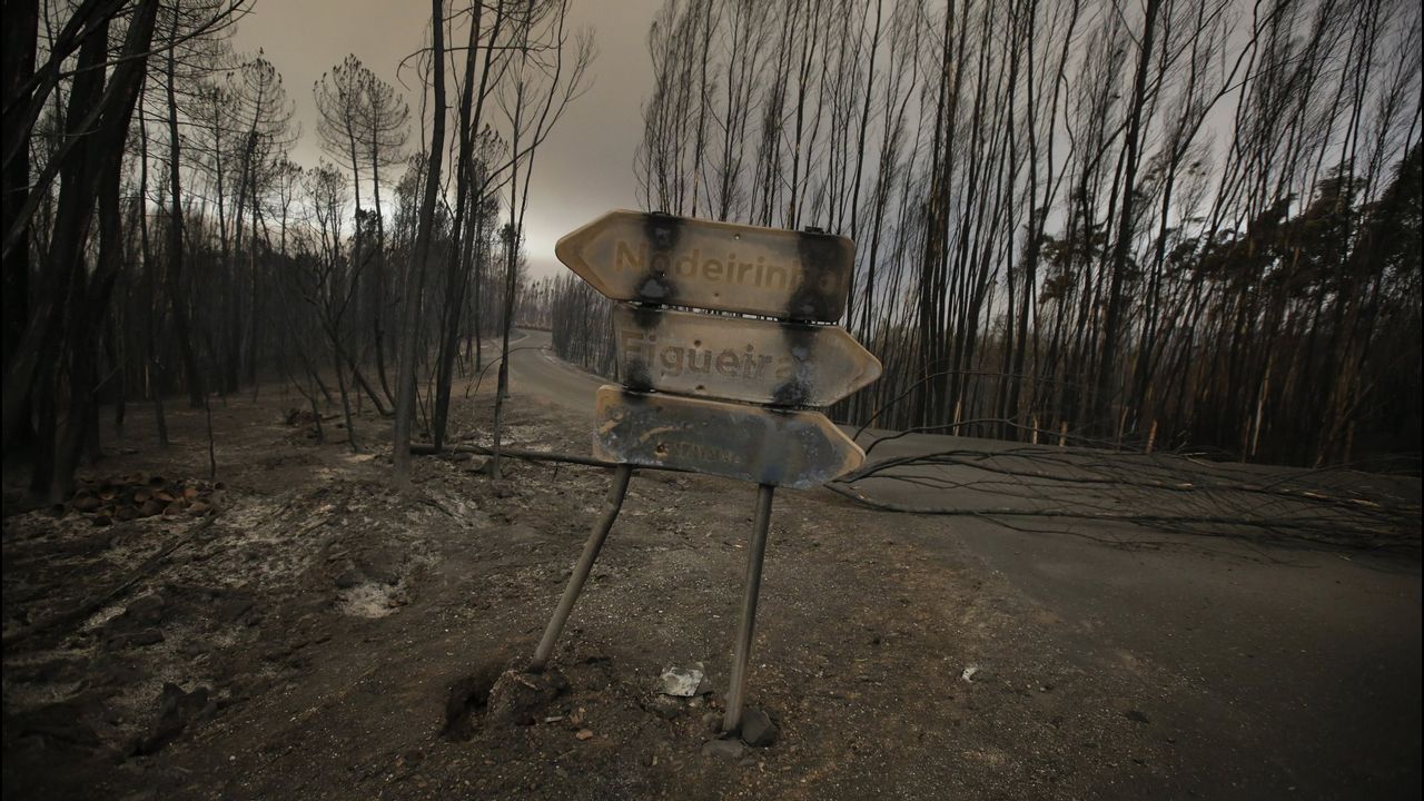 Varios ayuntamientos portugueses fronterizos con Galicia tienen riesgo máximo de incendio