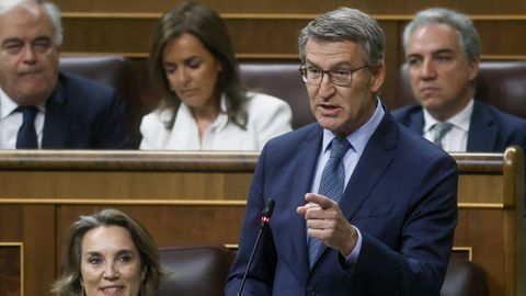 Alberto Nez Feijoo en el Congreso.