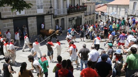 Festa do Boi