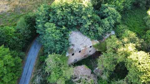 Vista aérea de una casa en una aldea de A Fonsagrada, tapada casi al completo por los árboles