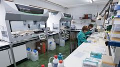 Imagen de archivo de un laboratorio de Sanidad Animal