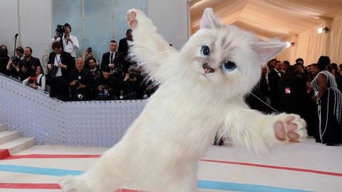 Jared Leto acudi vestido de gato