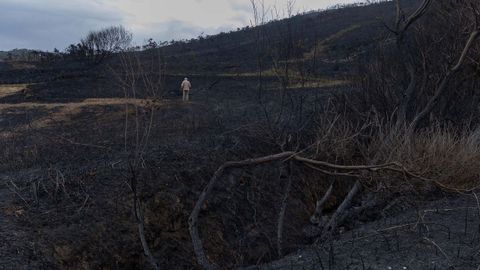 Zona calcinada en Cai�n por el incendio iniciado este lunes 