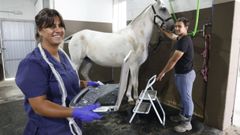 La Veterinaria Aiora Urkiaga trabajando en la cuadra de Morn en Sarria