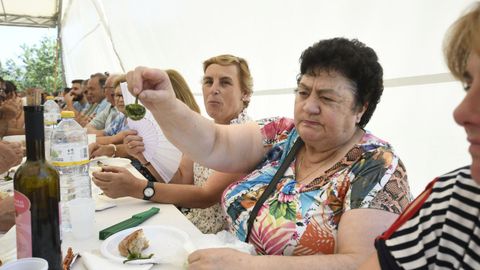 Festa do pemento de Mougn en Guntn