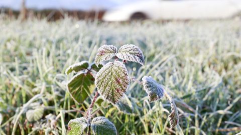 Desde Meteogalicia aseguran que este jueves podrían amanecer heladas algunos valles del sur de Lugo y más zonas altas, donde las temperaturas estarán muy próximas a los cero grados.