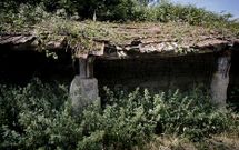 Imagen de un pendello de R�o, invadido por la vegetaci�n y con la cubierta cay�ndose.