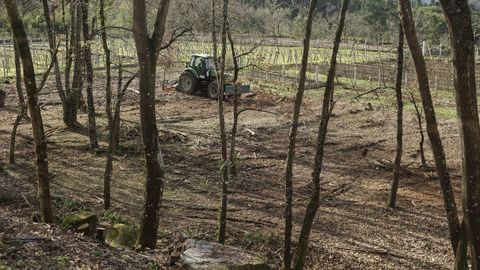 Trabajos en la aldea modelo de Osmo