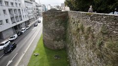 Las malas hierbas crecen en todos los rincoles de la Muralla, a la espera de que las corten