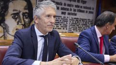 El ministro del Interior, Fernando Grande-Marlaska, comparece ante la Comisión de Interior, en el Senado.