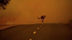 Australia es uno de los pases ms afectados por los incendios extremos