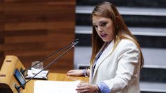 La portavoz de Vox, Carolina Lpez